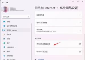 Win11以太网没有有效的IP配置