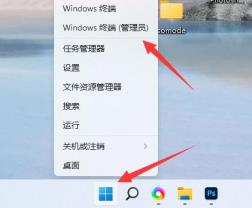 Win11正式版有wsa吗