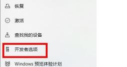 Win11系统设置没有恢复选项的解决步骤