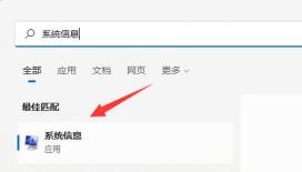 VBS功能怎么开