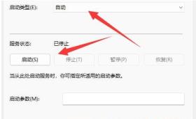 Win11网络发现已关闭