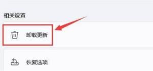 Win11黑屏怎么解决