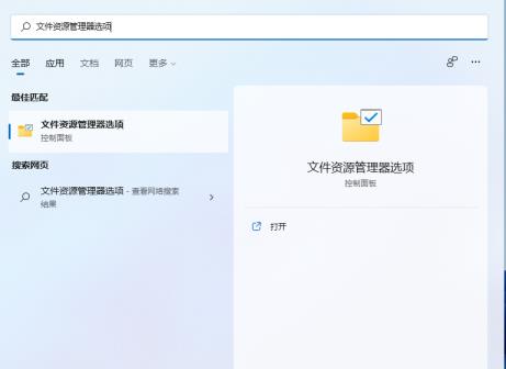Win11文件类型怎么改