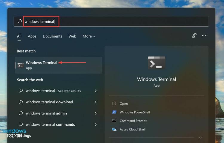 Win11系统下LifeCamStudio无法运行怎么解决