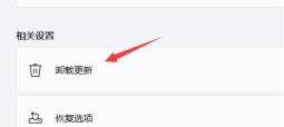 Win11电脑闪屏怎么解决