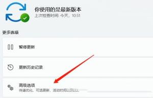 Win11电脑摄像头打开是黑的如何解决
