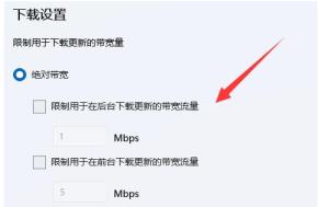 Win11下载速度太慢如何解决