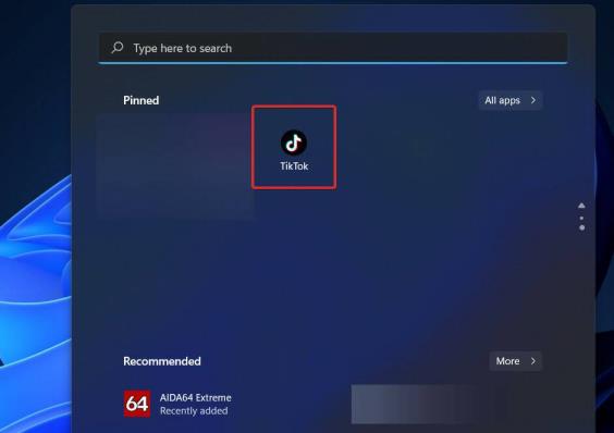 如何从Win11系统中删除TikTok