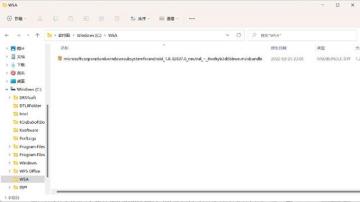 Win11怎么安装WSA安卓子系统 Win11怎么安装WSA安卓子系统