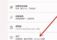 Win11右键延迟怎么解决