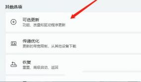 Win11电脑摄像头打开是黑的如何解决