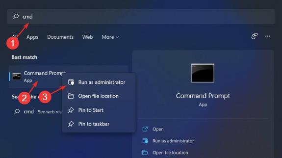 如何通过指针修复Windows11错误引用