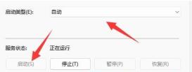 Win11没有声音怎么回事