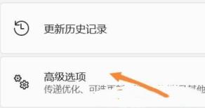 Win11显卡驱动装不上