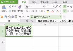 wps表格怎么换行详细方法