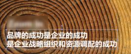 Adobe Acrobat XI Pro怎么修改PDF内容