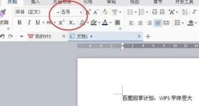 wps字体怎么变大详细方法