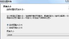 nicelabelpro怎么设置标签