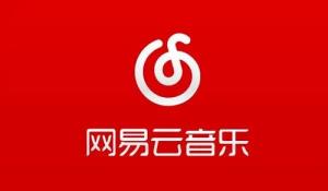 网易云音乐年度报告怎么看2022
