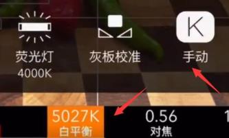 promovie使用方法拍美食