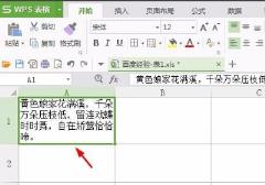 wps表格怎么换行详细方法