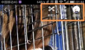 抖音发布作品详细方法