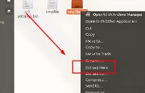 ubuntu怎么解压zip文件