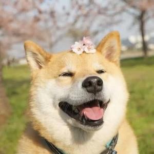 微信头像2023年最新版图片
