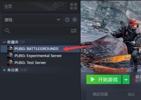 steam上的pubg下载哪一个