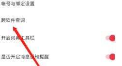 网易有道词典怎么在其他软件上进行翻译