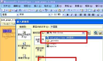 frontpage是制作什么的软件