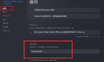 steam上的csgo属于什么服