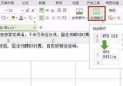wps表格怎么换行详细方法