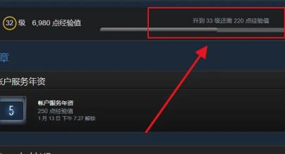 steam等级在哪看