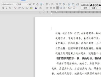 wps字体怎么统一调整