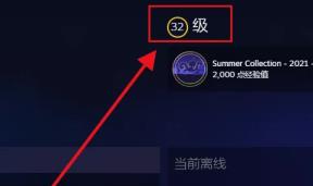 steam等级在哪看