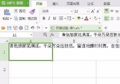 wps表格怎么换行详细方法