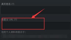 steam手机令牌无法向手机发送短信