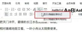 删除分页符后的空白页方法