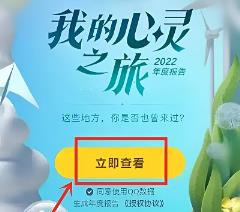 qq年度报告在哪看2022
