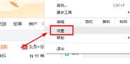 谷歌翻译发音按钮不显示