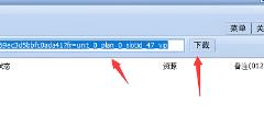 冰点文库下载器怎么下载
