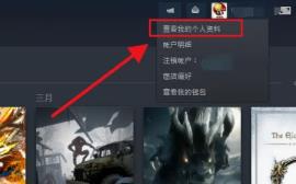 steam等级在哪看