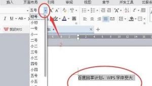 wps字体怎么变大详细方法