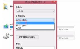 U盘启动盘放不了大于4G文件