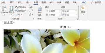 word图片统一调整大小方法