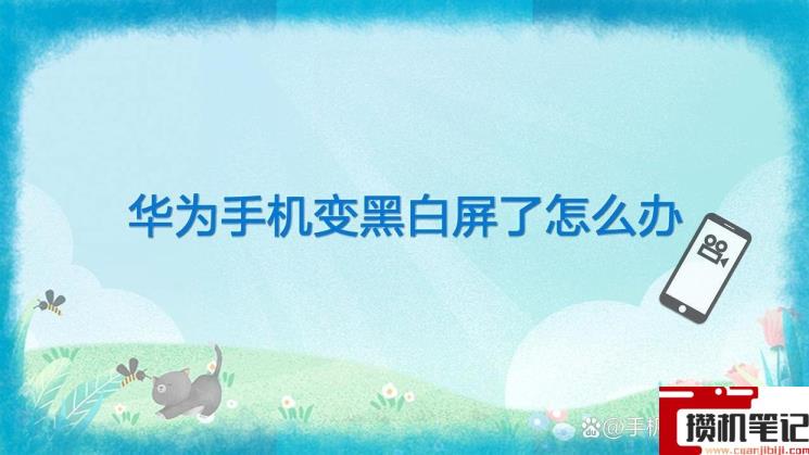 荣耀手机屏幕变成黑白色怎么恢复 荣耀手机屏幕变成黑白色怎么恢复