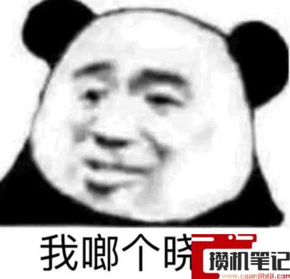电脑装win10还是win11的详细介绍