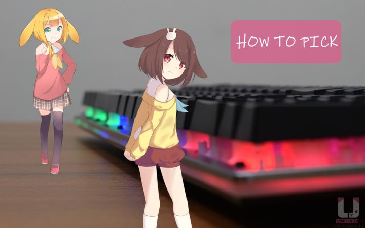 CHERRY MX Board 2.0S / MC 2.1 / HC 2.2 合体 CHERRY 2 系列电竞组合包