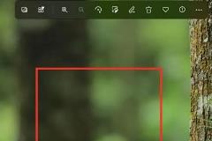 win11怎么压缩照片